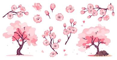 Collection of design elements cherry blossoms in full bloom for Hanami festival. Spring sakura branch flowers, trees and pink buds. Flat holiday illustrations set isolated on white backgrounds. vector