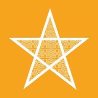 Six Pointed Star in gold with white Style icon vector