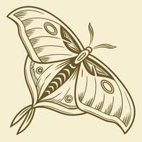 A linear illustration of a butterfly. Flat style. vector