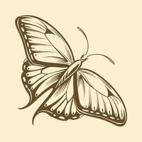 A linear illustration of a butterfly. Flat style vector