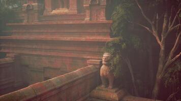 Statue of Person on Ledge Near Tree video