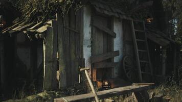 Rustic wooden shelter with lanterns surrounded by nature on a calm evening video