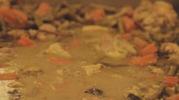A pot of soup with carrots, meat and potatoes video