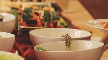A buffet table with many different types of food video