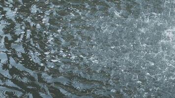 A close up of water splashing on the ground video
