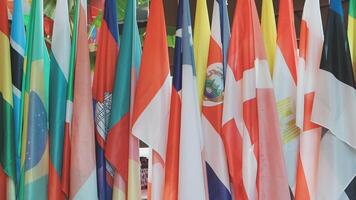 Many flags are hanging in a row video