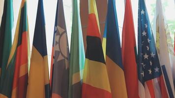 Many different flags are lined up in a row video