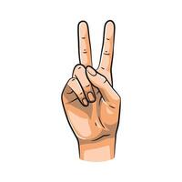 Hand Gestures Showing Numbers 2. Isolated on White Background vector