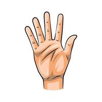Hand Gestures Showing Numbers 5. Isolated on White Background vector