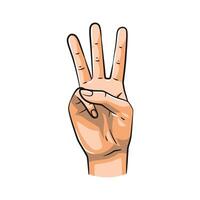 Hand Gestures Showing Numbers 3. Isolated on White Background vector