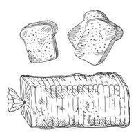 Bread toasts, toasts with butter peanut paste, toaster sketch set. Bread toasts for sandwich piece of roasted crouton. Lunch, dinner, breakfast snack. Isolated white background. vector