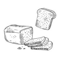 Bread toasts, toasts butter and peanut paste, toaster sketch set. Bread toasts for sandwich piece of roasted crouton. Lunch, dinner, breakfast snack. Isolated white background. vector