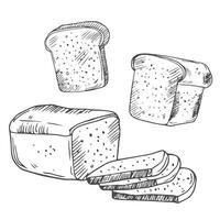 toasts, toasts with butter and peanut paste, toaster sketch set. Bread toasts for sandwich piece of roasted crouton. Lunch, dinner, breakfast snack. Isolated white background. vector