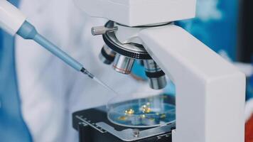 A microscope is being used to look at something video