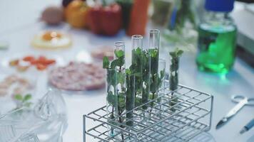 A table with a glass vial filled with plants video