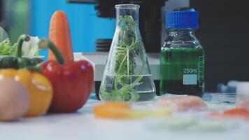 A table with vegetables, a bottle of water and a glass of liquid video
