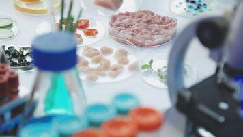 A microscope is used to examine food in a laboratory video