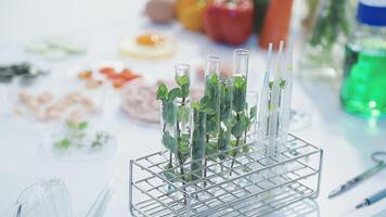 A table with several test tubes and other items video