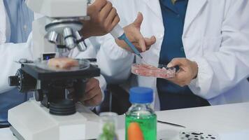 Two people in lab coats looking at a microscope video