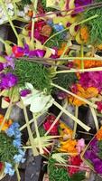 Close-up of Canang Sari, small offering baskets at a temple in Ubud, Bali video
