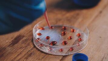 A person is holding a small glass container with red beads video