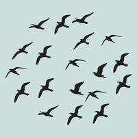 A flock of birds flying in a circle vector
