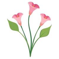 Pink flowers with green leaves on a white background vector