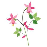 Pink flowers with leaves on a white background vector