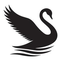 A black swan on a white background vector