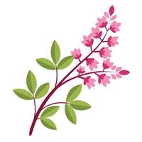 A branch with pink flowers and leaves on it vector