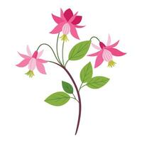 beautiful flower illustration design on a white background vector