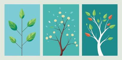 Four different types of trees with leaves and leaves vector
