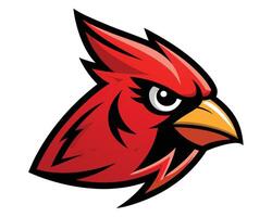 The cardinal bird logo is shown on a white background vector