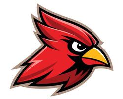 The cardinal head logo is shown on a white background vector