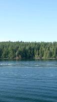Buoy Floating in a Mountain Lake Vancouver Island video