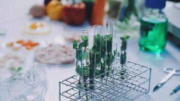 A table with a bunch of plants and other items video