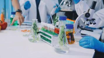 Scientists working in a laboratory with various chemicals video