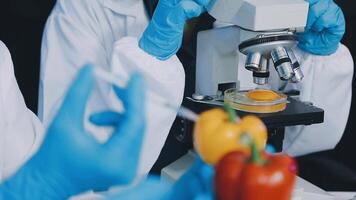 Scientists in lab coats are looking at vegetables video
