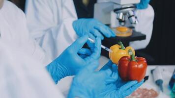 Scientists in lab coats holding peppers and tomatoes video