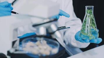 A person in a lab coat holding a glass with a plant in it video