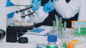 A microscope is being used to look at some food video