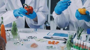 Two people in lab coats holding vegetables video