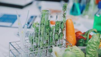 A laboratory with test tubes and vegetables video