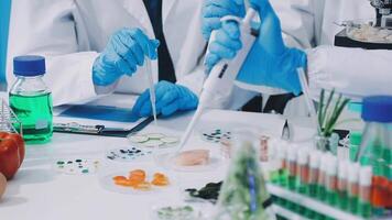 Scientists working in a laboratory with food and other items video