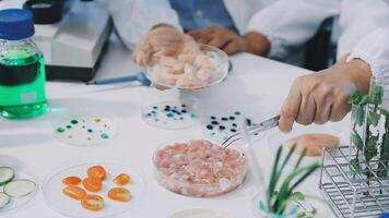 Scientists in lab coats preparing food for testing video
