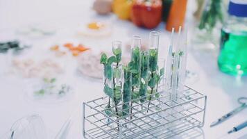 A table with several test tubes and other items video