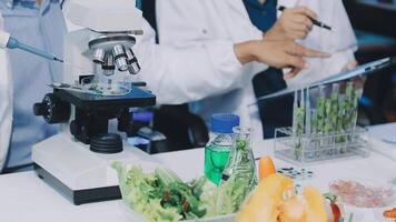 Two people in lab coats looking at a microscope video