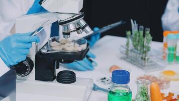 Scientists working in a laboratory with microscopes video