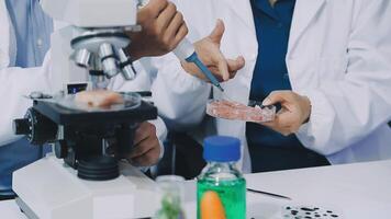 Two people in lab coats looking at a microscope video