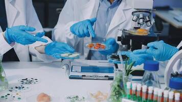 Scientists in lab coats and gloves working with food video